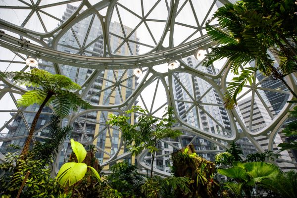 The Amazon Spheres